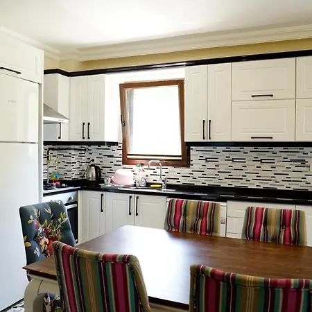 26-isitma Havuzlu Villa Sapanca